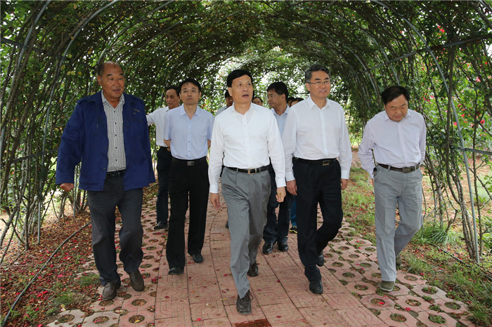 1-1省长谢伏瞻视察国家级月季科普示范基地.JPG